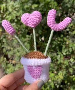 Crochet Pot