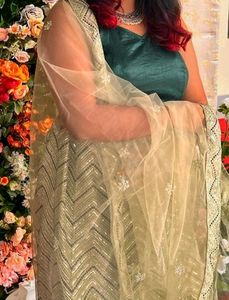 Beautiful New Lehenga