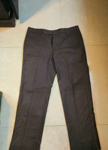 Brown Formal  Pants