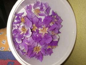 Dried FLOWER FOR RESIN ART