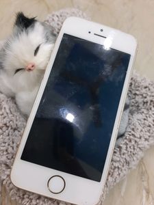 IPHONE 5S (2GB RAM, 16GB Storag)