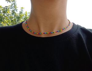 Rainbow Beaded Necklace