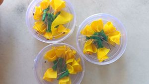 Hair Bun Pin Accessories (For 4 Boxes 60rs)