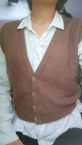 sweater vest