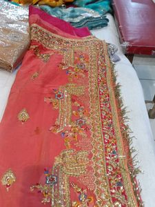 Embroidered Indian Saree (Minor Issue)