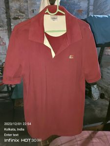 CreationT Shirt 100% Cotton