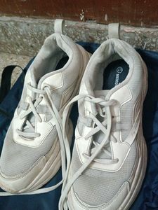 CAMPUS SHOES