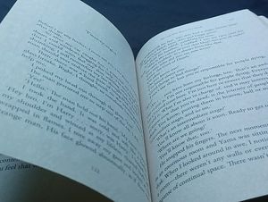The Girl Who Knew Too Much Book