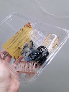 Hair Claw Clips - Set of 5