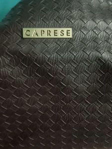 Caprese Coffee Brown Shoulder Bag