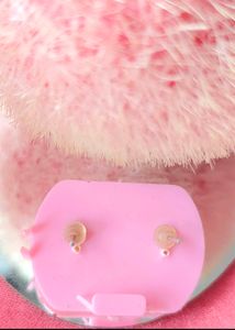 Earring Bundle: Hoops, Studs, and More!