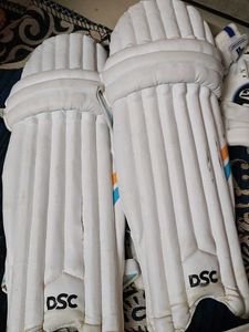 DSC Cricket Batting Pads