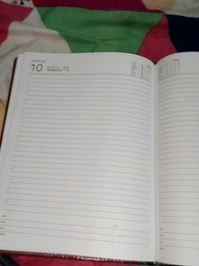 Set Of Two Excellent New Diaries...