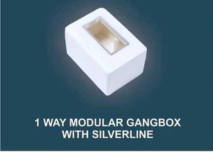 1 Way Modular Gangbox