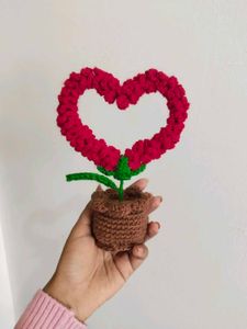 Viral Potted Heart ❤️