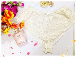 ✨❤️ Umbrella Pattern Net New Penty