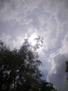 Sony Cybershot Camera