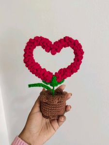 Viral Potted Heart ❤️