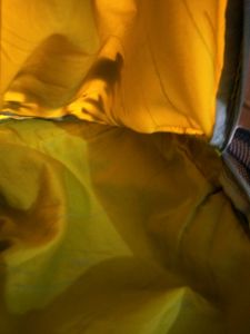 Skybags Yellow Backpack