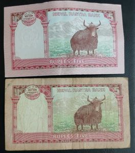 Nepal Rupee Five - Collectible