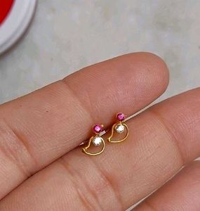 Beautiful New Parrot Desine Studs