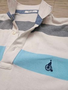Beanpole Elegant Striped Polo Shirt