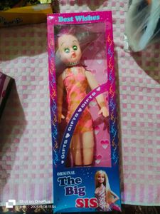 Big Sis Doll - Collectible!