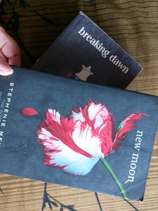 Twilight Series books - Breaking Dawn And New Moon COMBO !!!!!!