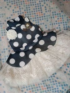 Party Wear Frock