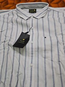 Classic White Shirt With Blue Stripes