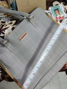 Handbag With Minor Chirpings
