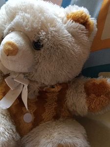 Cute Teddy Bear Plush Toy