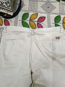 Pant For gents