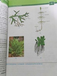 Botany Textbook 1st Year