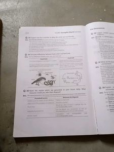 Science And Mathematics NCERT examplar Class 10
