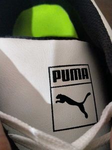 Puma Speecat