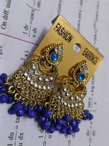 Fashion Earrings
