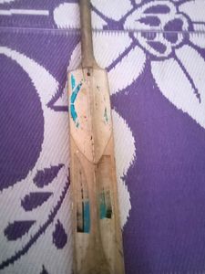 Its A Cricket Bat