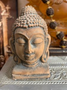 Buddha’s Show Pease