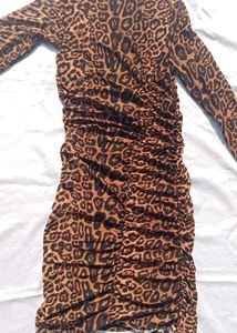 Sheer Cheetah Print Dress