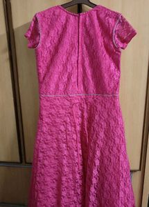 Buy This Pink Embroidered Dress