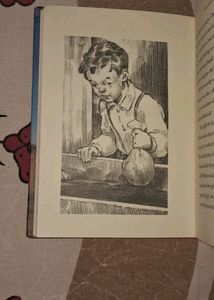 The Adventure Of Huckleberry Finn