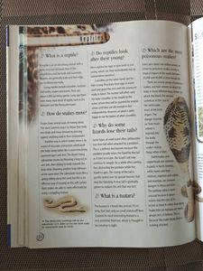 🆕 Encyclopedia Q&amp;A Book