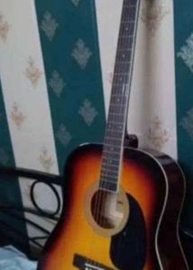 Dreadnought Guitar