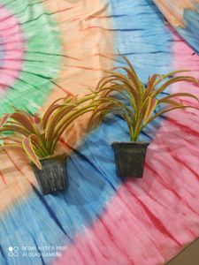 2 Flower Pots