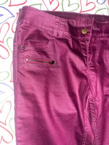 Plum Skinny Pants with Ankle Zippers