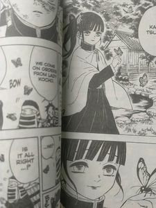 Demon Slayer Manga Volume 6 Anime