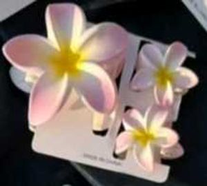 🌸Stylish Big &amp; Small Flower Hair Clips Set🌸
