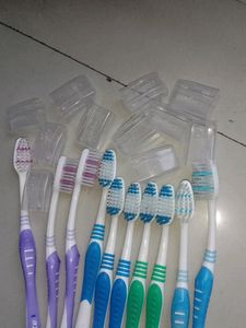 Toothbrush Pack Of 10