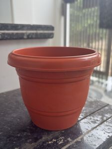 Small Flower Pot